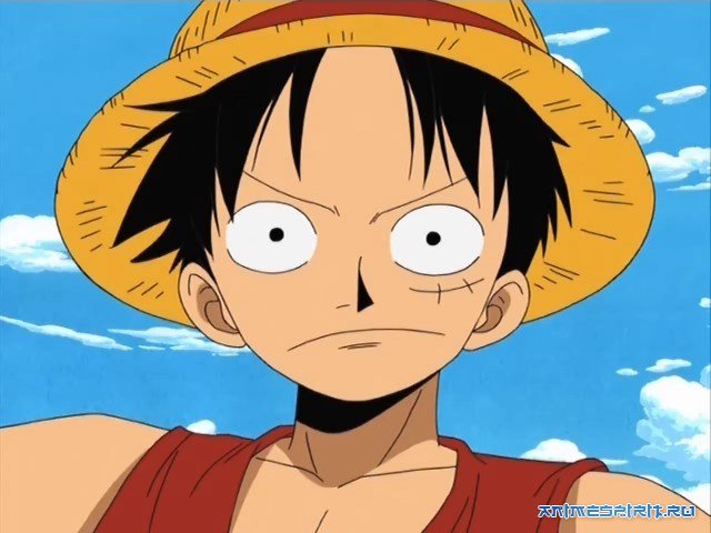 One Piece Protect The Last Great Stage